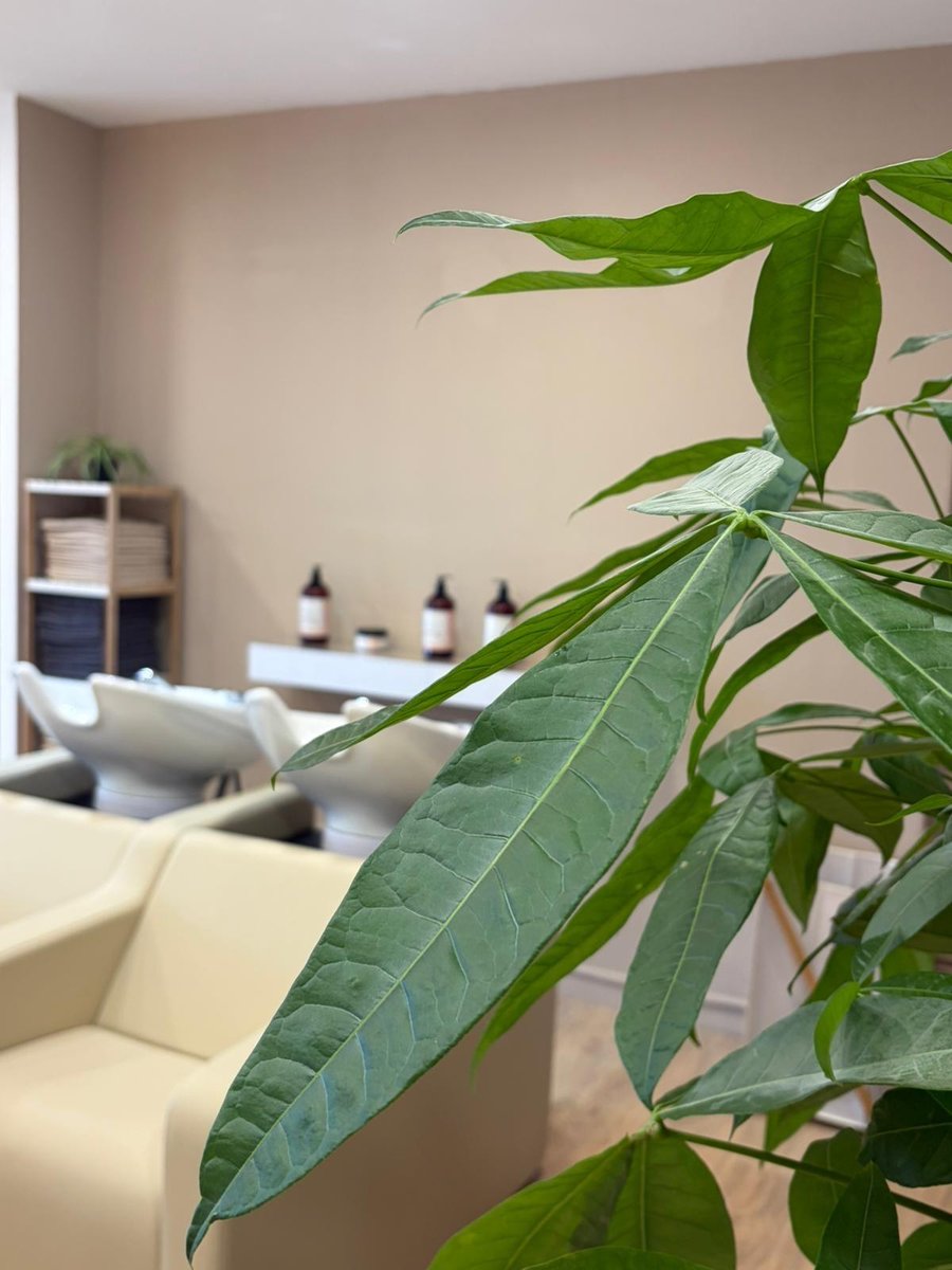 L'instant L — Détail du salon
